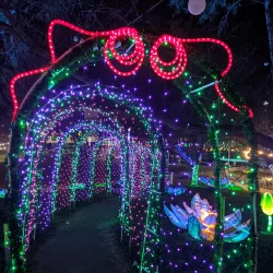 McAllen Convention Center - McAllen