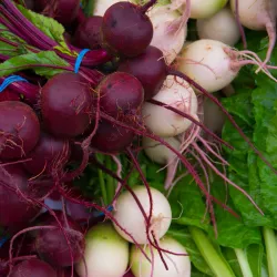 McAllen Farmers Market - McAllen