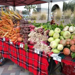McAllen Farmers Market - McAllen