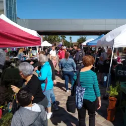 McAllen Farmers Market - McAllen