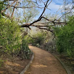McAllen Nature Center - McAllen