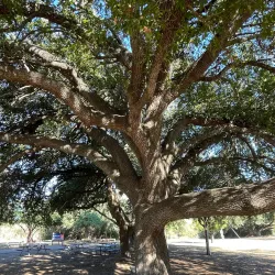 McAllen Nature Center - McAllen