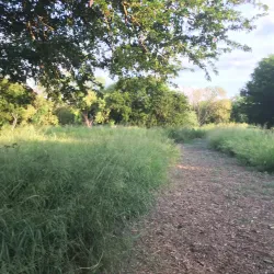 McAllen Nature Center - McAllen