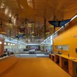 McAllen Public Library - McAllen