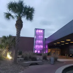 McAllen Public Library - McAllen