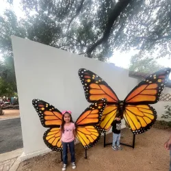 Quinta Mazatlan - McAllen