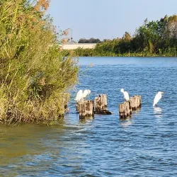 Riverside Park - McAllen