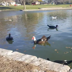 City Lake Park - Mesquite