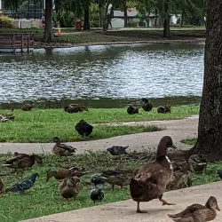 City Lake Park - Mesquite
