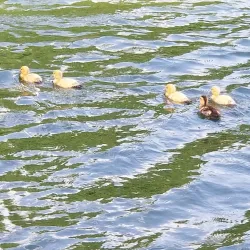 City Lake Park - Mesquite