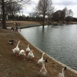 City Lake Park - Mesquite
