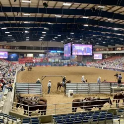 Mesquite Championship Rodeo - Mesquite