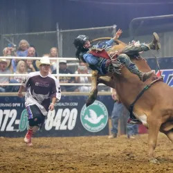 Mesquite Championship Rodeo - Mesquite