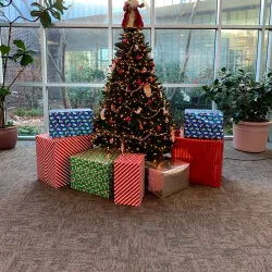 Mesquite Public Library - Mesquite