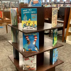 Mesquite Public Library - Mesquite