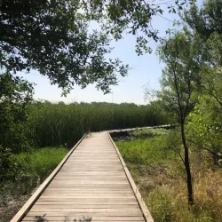 I-20 Scenic Drive and Scenic Overlook - Midland
