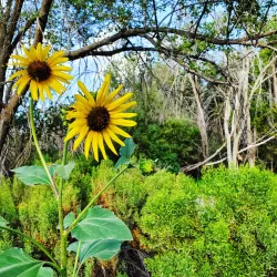 I-20 Scenic Drive and Scenic Overlook - Midland