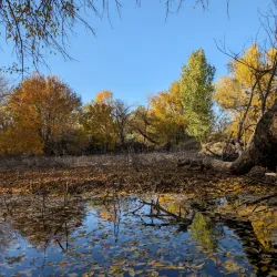 I-20 Wildlife Preserve and Jenna Welch Nature Study Center - Midland