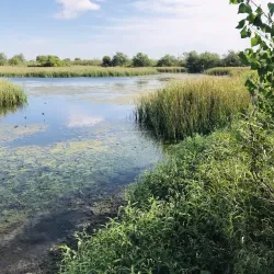 I-20 Wildlife Preserve and Jenna Welch Nature Study Center - Midland
