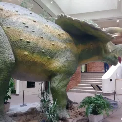 Midland Center for the Arts - Midland