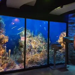 Permian Basin Petroleum Museum - Midland