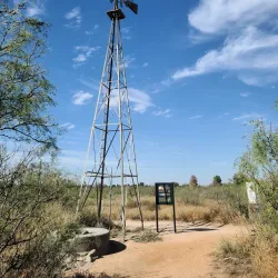 Sibley Nature Center - Midland