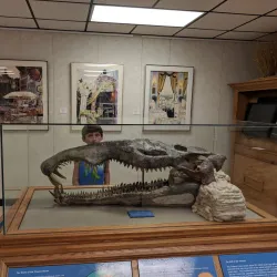 Sibley Nature Center - Midland