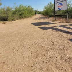 Sibley Nature Center - Midland