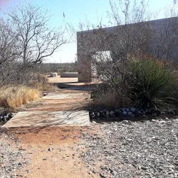 Sibley Nature Center - Midland