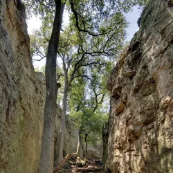 Clifford Antone Park - Mineral Wells
