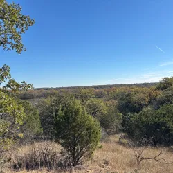 Clifford Antone Park - Mineral Wells