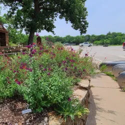 Lake Mineral Wells - Mineral Wells