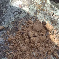 Lake Mineral Wells - Mineral Wells