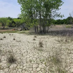 Mineral Wells Fossil Park - Mineral Wells