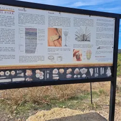 Mineral Wells Fossil Park - Mineral Wells