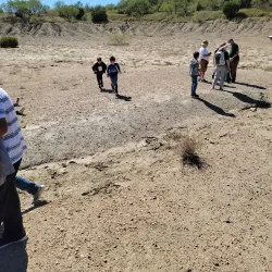 Mineral Wells Fossil Park - Mineral Wells
