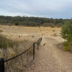 Mineral Wells Fossil Park - Mineral Wells