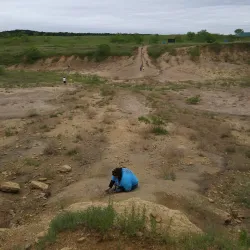 Mineral Wells Fossil Park - Mineral Wells