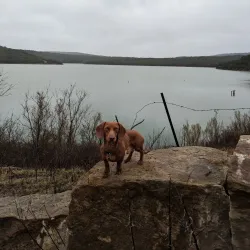 Palo Pinto Mountains State Park - Mineral Wells