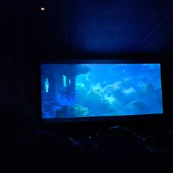 The Palace Theatre - Mineral Wells