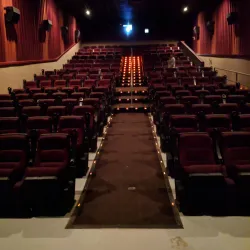 The Palace Theatre - Mineral Wells