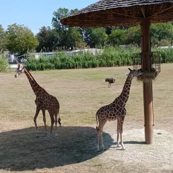 Frank Buck Zoo - Mount Pleasant