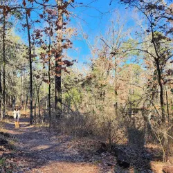 Lake Bob Sandlin State Park - Mount Pleasant