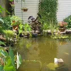 Mount Pleasant Depot - Mount Pleasant