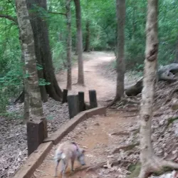 Lanana Creek Trail - Nacogdoches