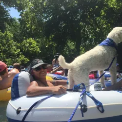Comal River - New Braunfels