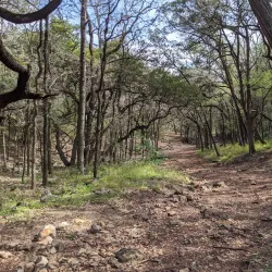 Landa Park - New Braunfels