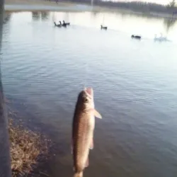 Comanche Trail Park - Odessa