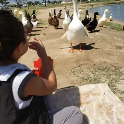 Comanche Trail Park - Odessa