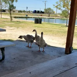 Comanche Trail Park - Odessa